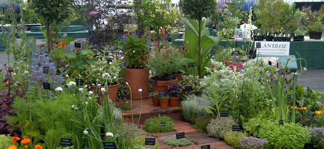 gardeners-world-display.jpg