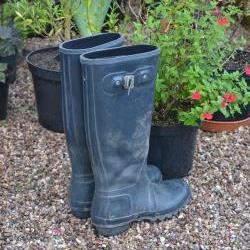 jane-wellies.jpg