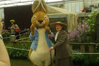 large-peter-rabbit.jpg